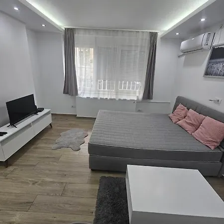 Apartment Perla Vracar *