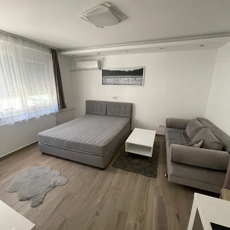 Perla Vracar Apartment *