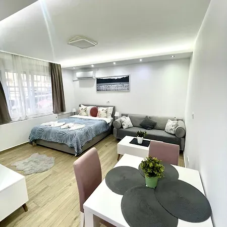 Perla Vracar Apartment *