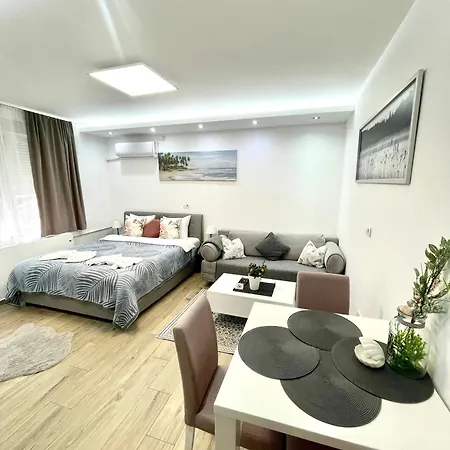 Perla Vracar Apartment *