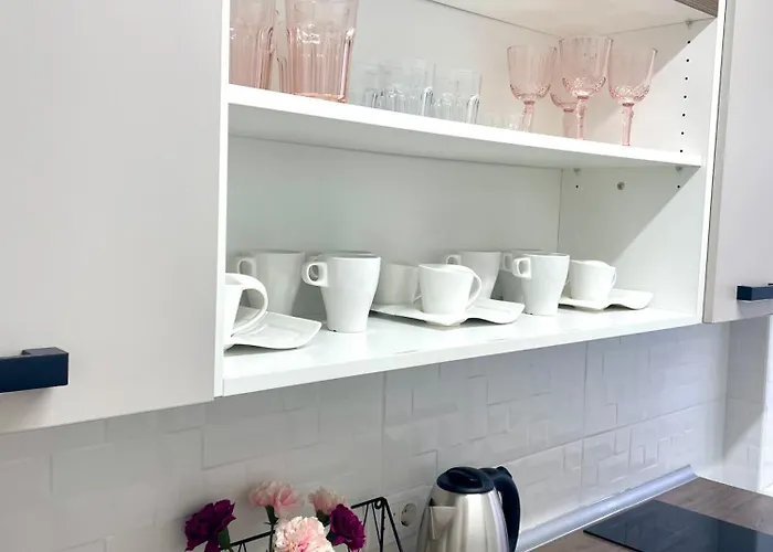 Perla Vracar Apartamento *