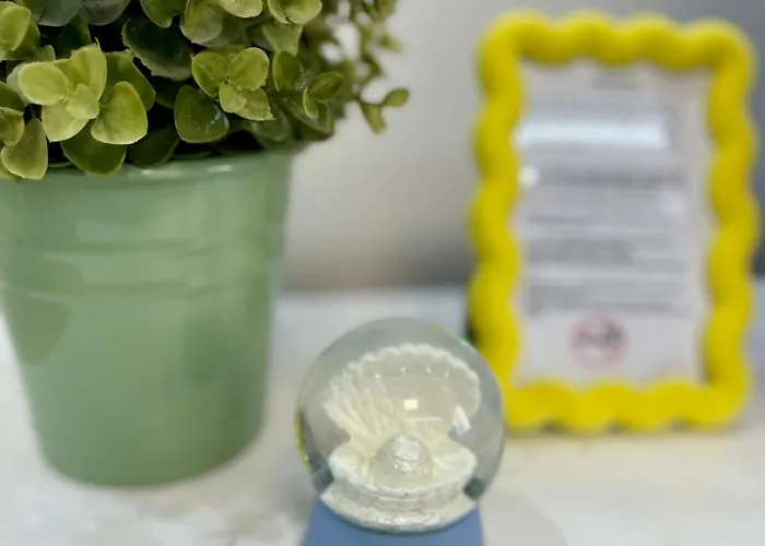 Perla Vracar Apartamento *